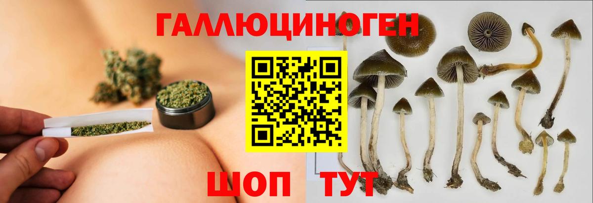 Камышлов  Псилоцибиновые грибы мухоморы  Вход с VPN 